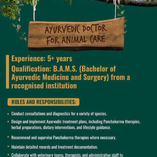 Ayurveda Jobs